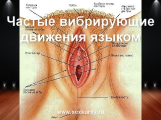 how to make cunnilingus - clitoral orgasm 480p